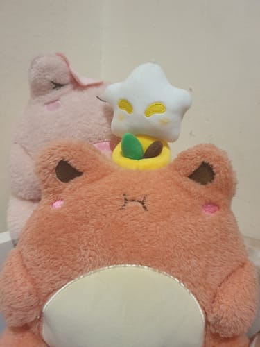 Customer photo review of Adopt a Star Baby Plush Blind Box