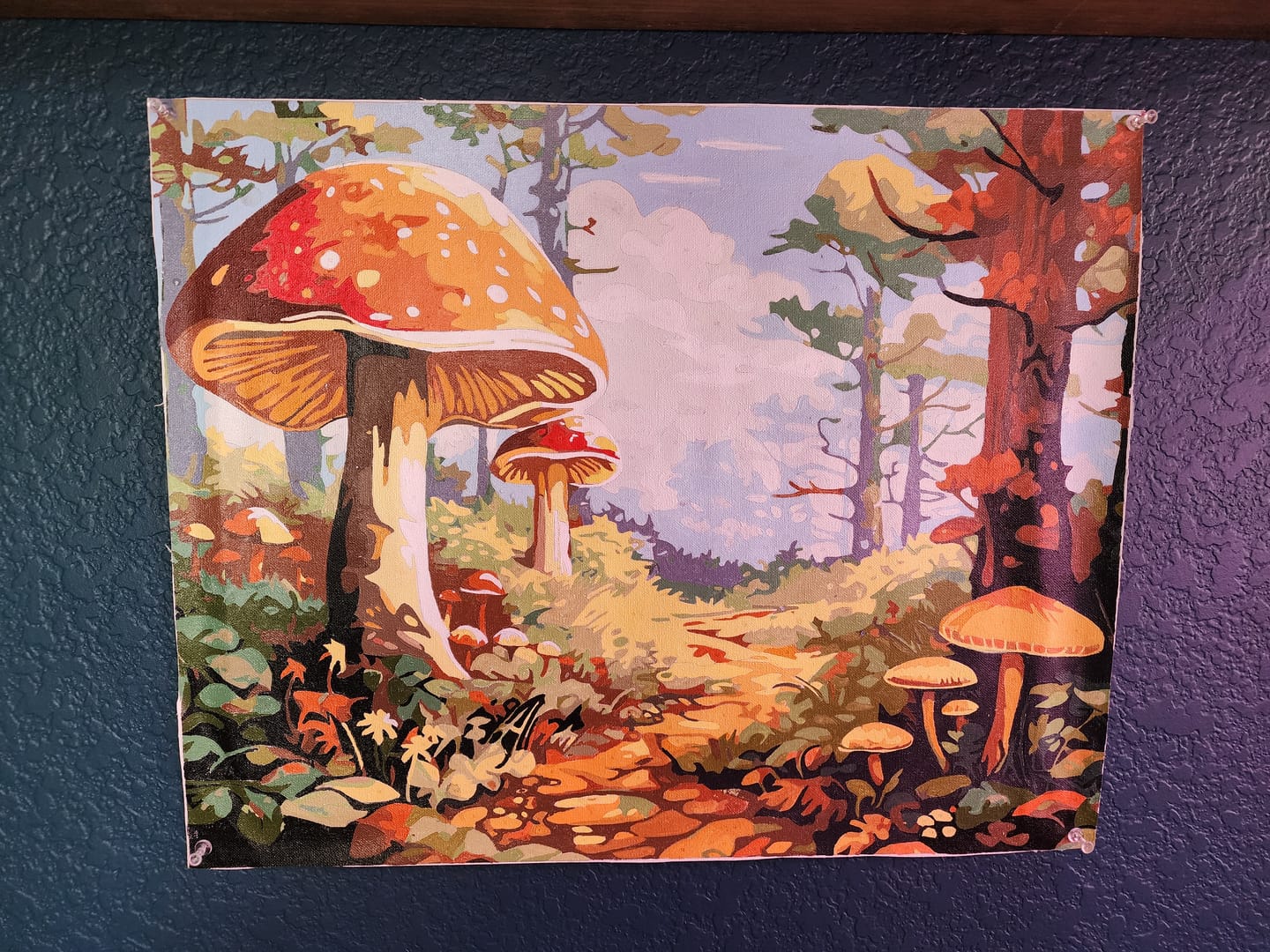 Customer photo review of Enchanted Forest Trail