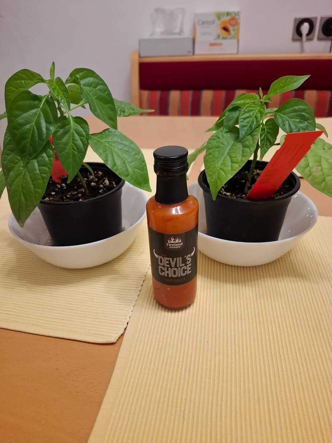 Customer photo review of Devils Choice Hot-Sauce, 110g/100ml