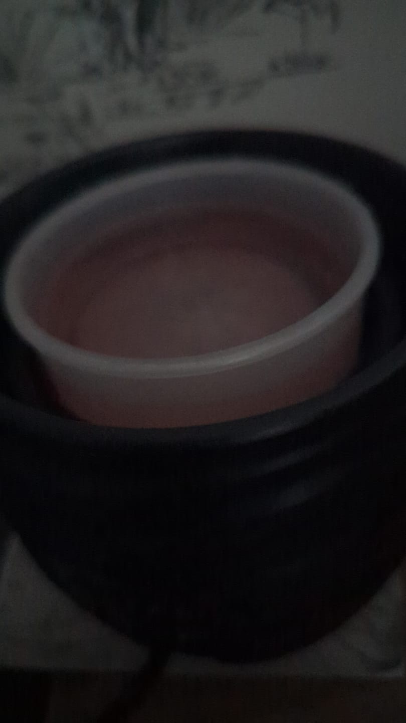 Customer photo review of Peony & Blush Suede Gel Melt - 20% off fragrance of the month