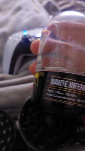 Customer photo review of Gold Spectrum THCA Flower (Top) - Dante Inferno