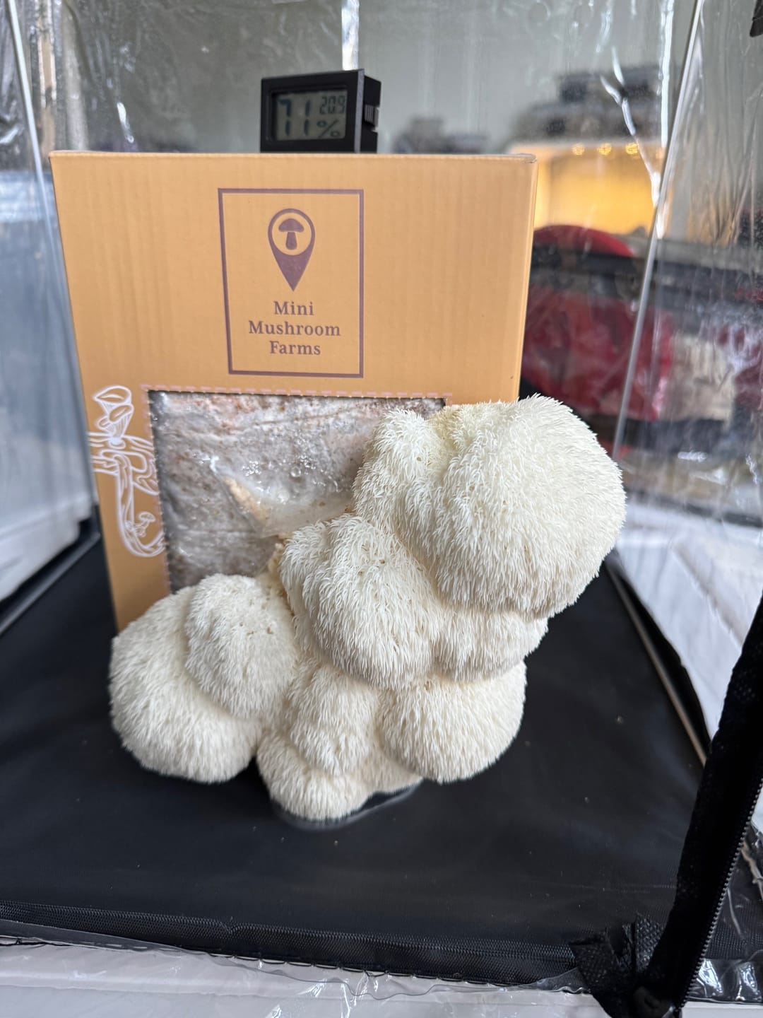 Customer photo review of Essentials Bundle Gift Set + Grow Kit