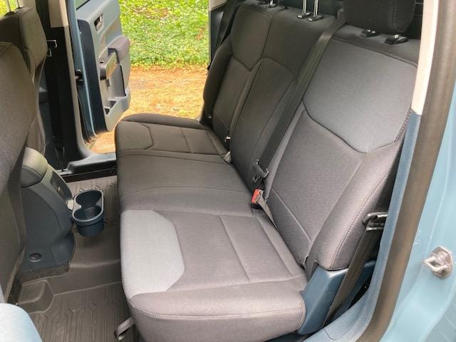 Customer photo review of Dog Rear Seat Cover - No Hammock
