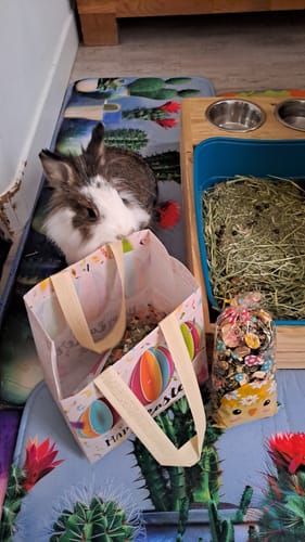 Customer photo review of La Box de Pâques 400g – Une Chasse aux Gourmandises