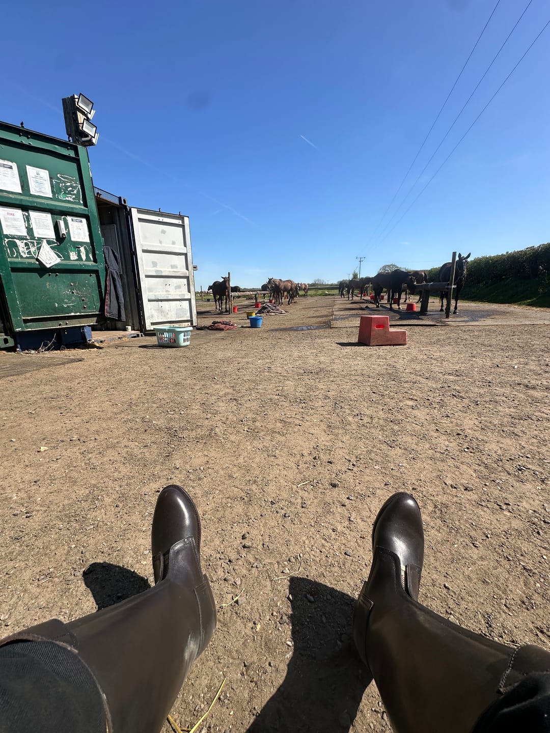 Customer photo review of Lascano Argentine Polo Boots
