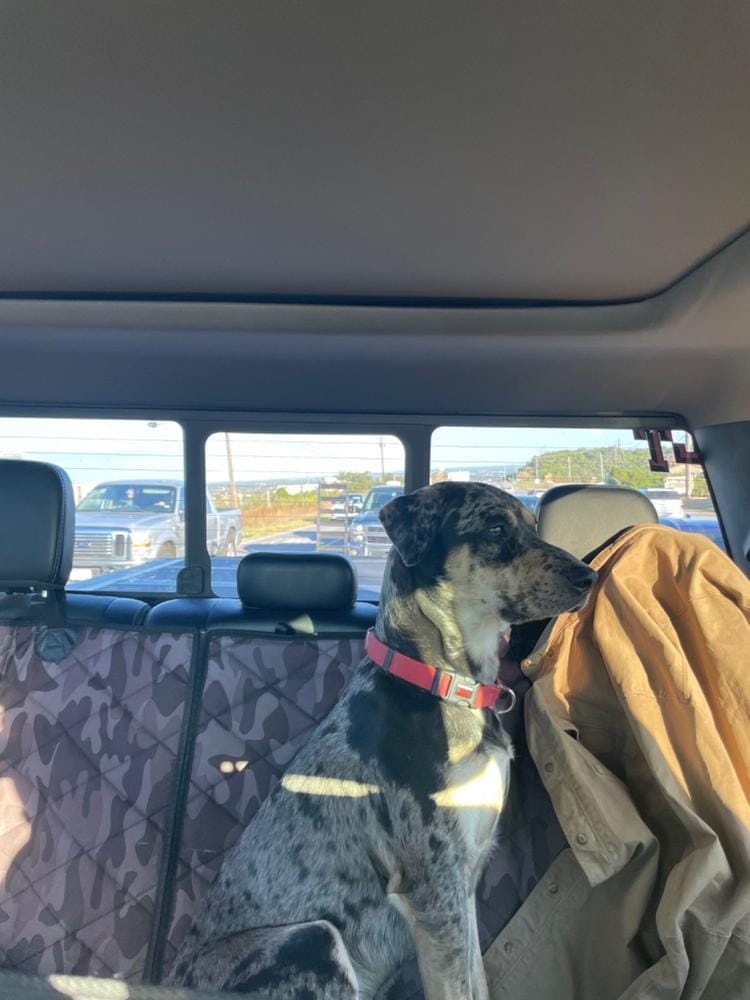 Customer photo review of Dog Deterrent Barrier