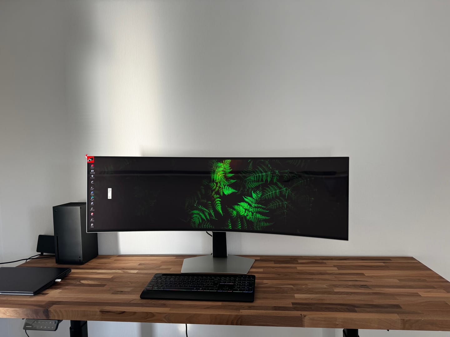 Customer photo review of Maidesite EL2 Pro Art - Electric Stand Up Desk Frame
