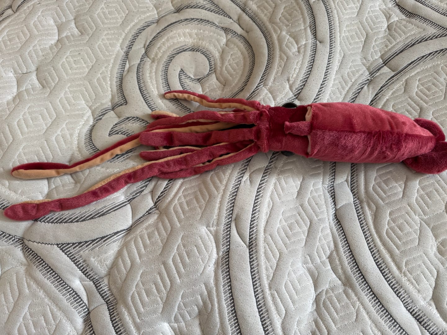 Customer photo review of Giant Squid Soft Stuffed Plush Toy
