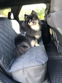 Customer photo review of Dog Rear Seat Cover - No Hammock