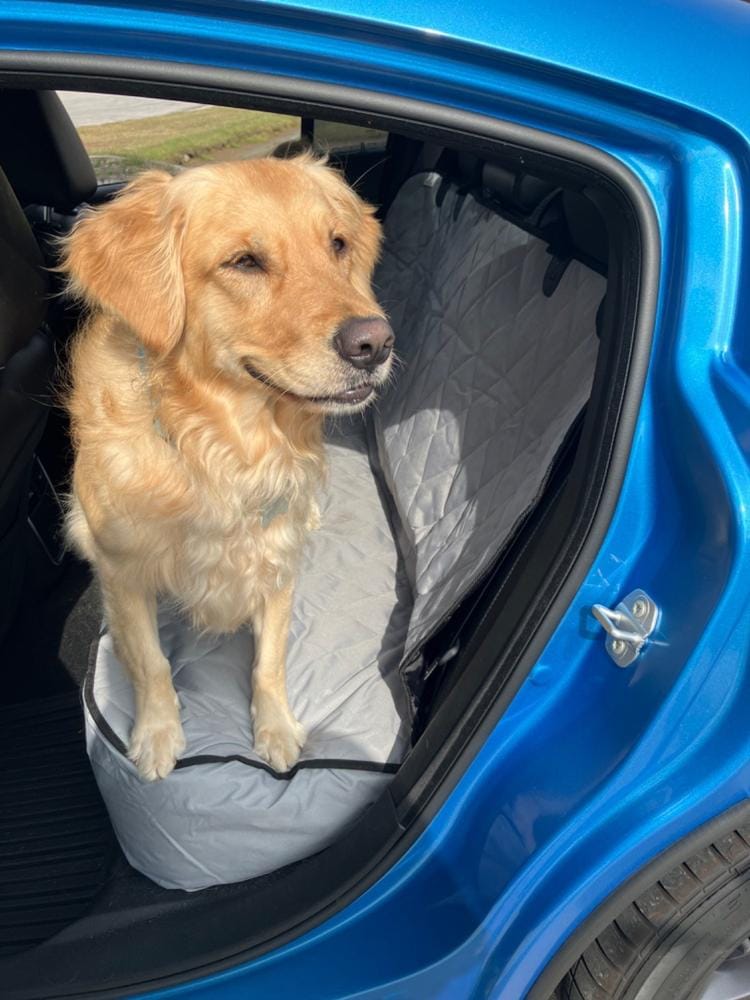 Customer photo review of Dog Rear Seat Cover - No Hammock