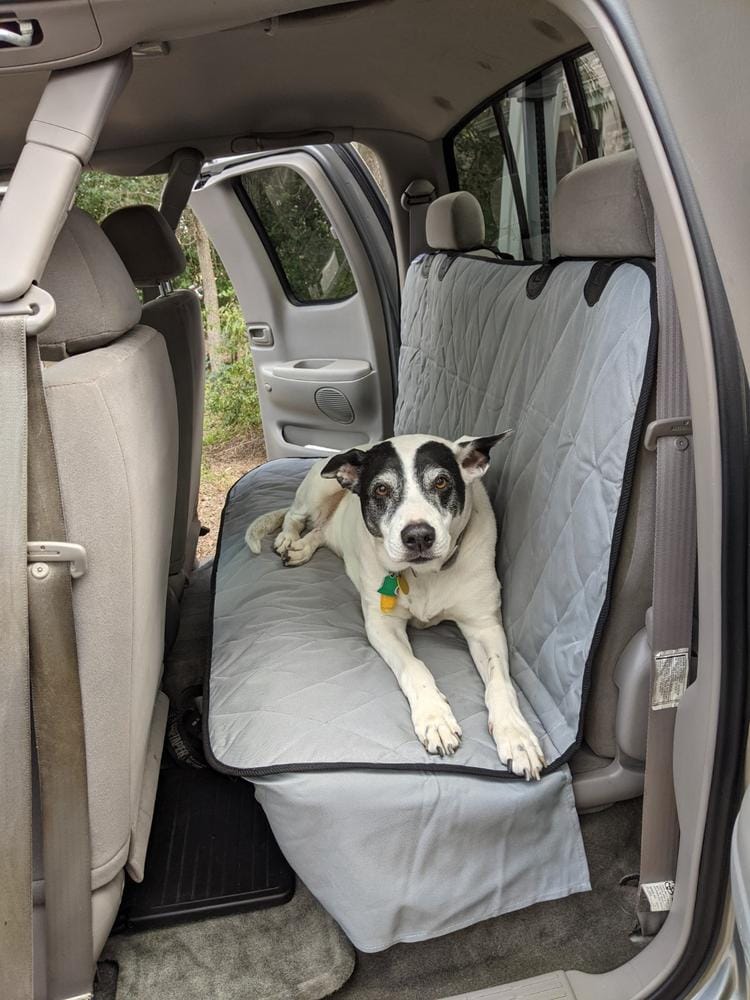 Customer photo review of Dog Rear Seat Cover - No Hammock