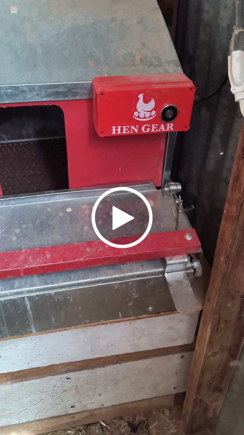 Customer video review of AutoRoost 2.0 (Automatically Opens Your Nest Box) - Backordered (Expected to Ship March 31st)