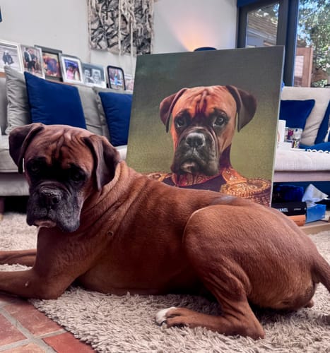 Customer photo review of The General – Custom Vintage Pet Canvas
