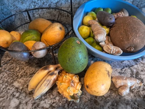 Customer photo review of Tropical Variety Box