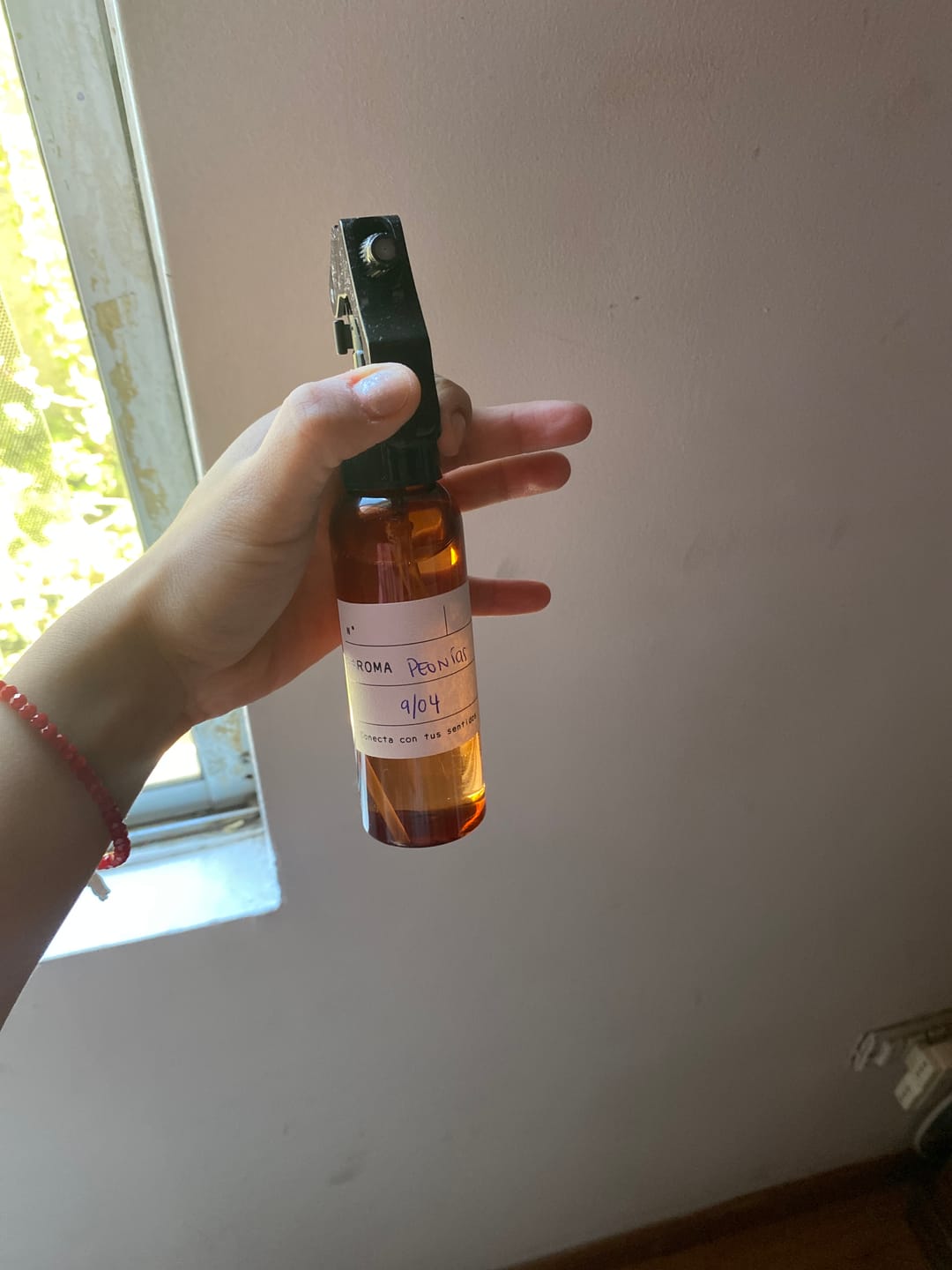 Customer photo review of Kit Home Spray y Difusor + Taller