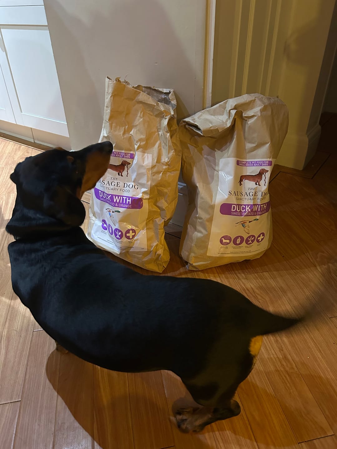 Customer photo review of Grain-Free Duck with Sweet Potato & Orange (Small Kibble)
