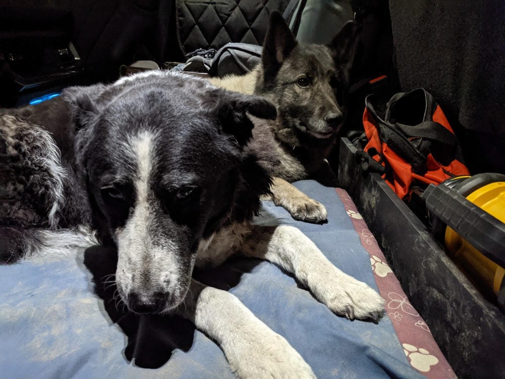 Customer photo review of Front Seat (Bucket Seat) Cover
