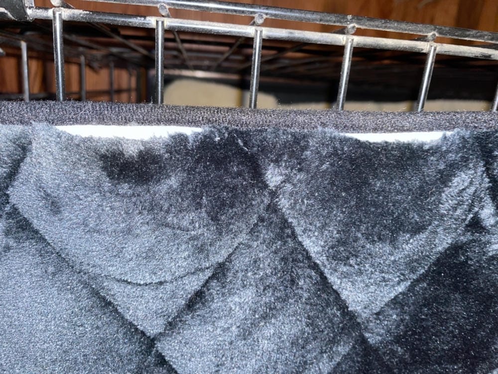 Customer photo review of Crate Mat / Travel Bed