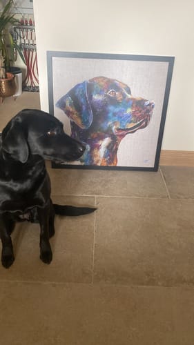 Customer photo review of Black Labrador Large By Louise Luton Ex Gallery