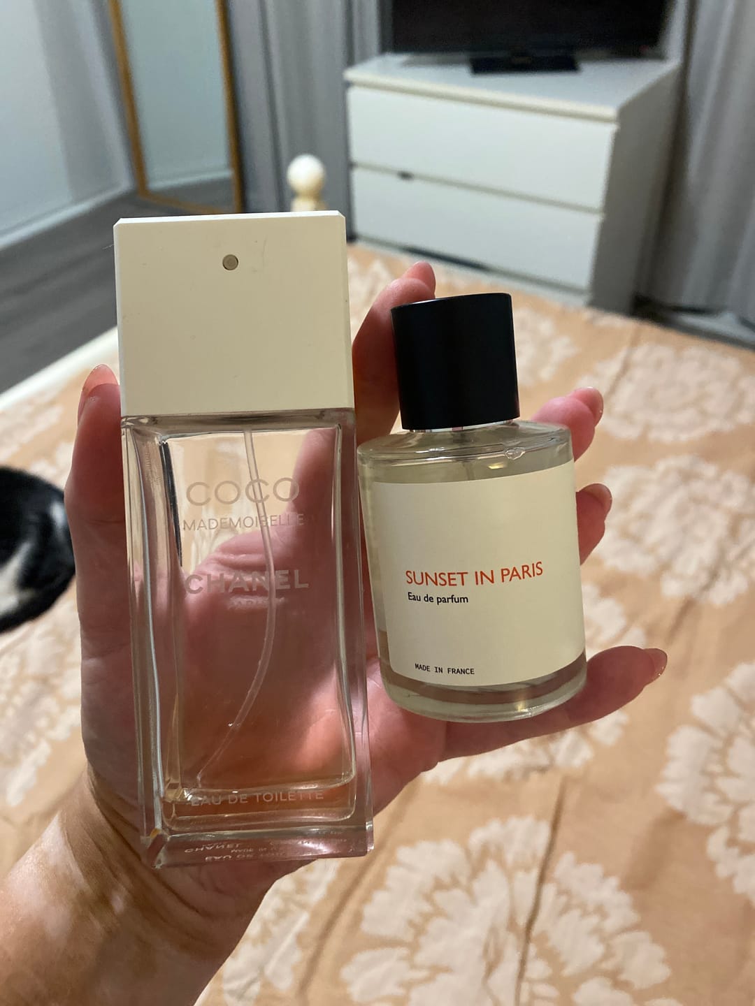 Customer photo review of Sunset in Paris