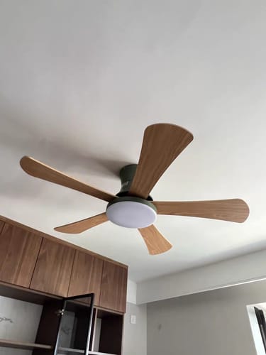 Customer photo review of WOW Scandi Low Profile Ceiling Fan Lamp-wow5086