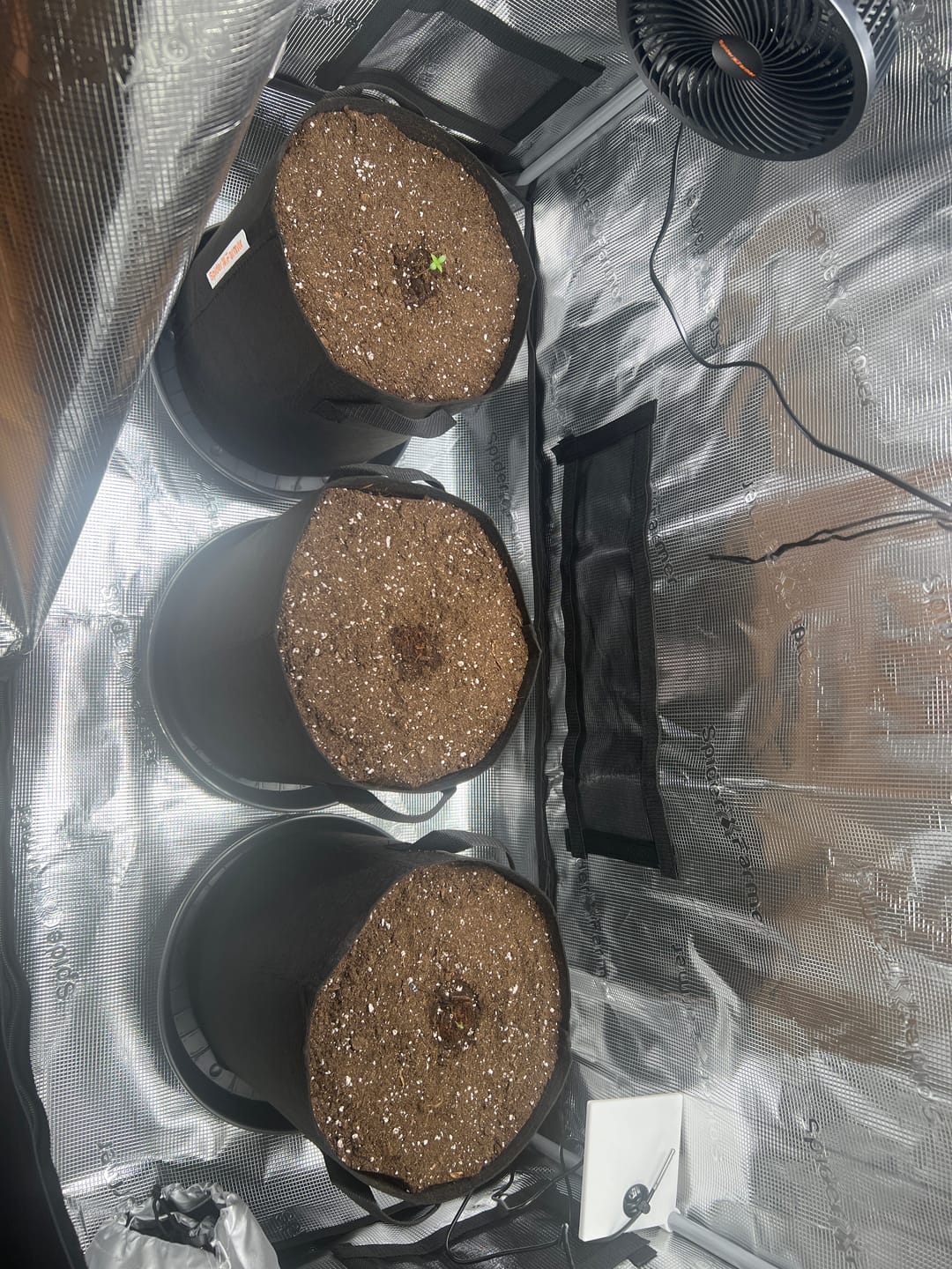 Customer photo review of BioBizz Light Mix Erde | Verschiedene Varianten