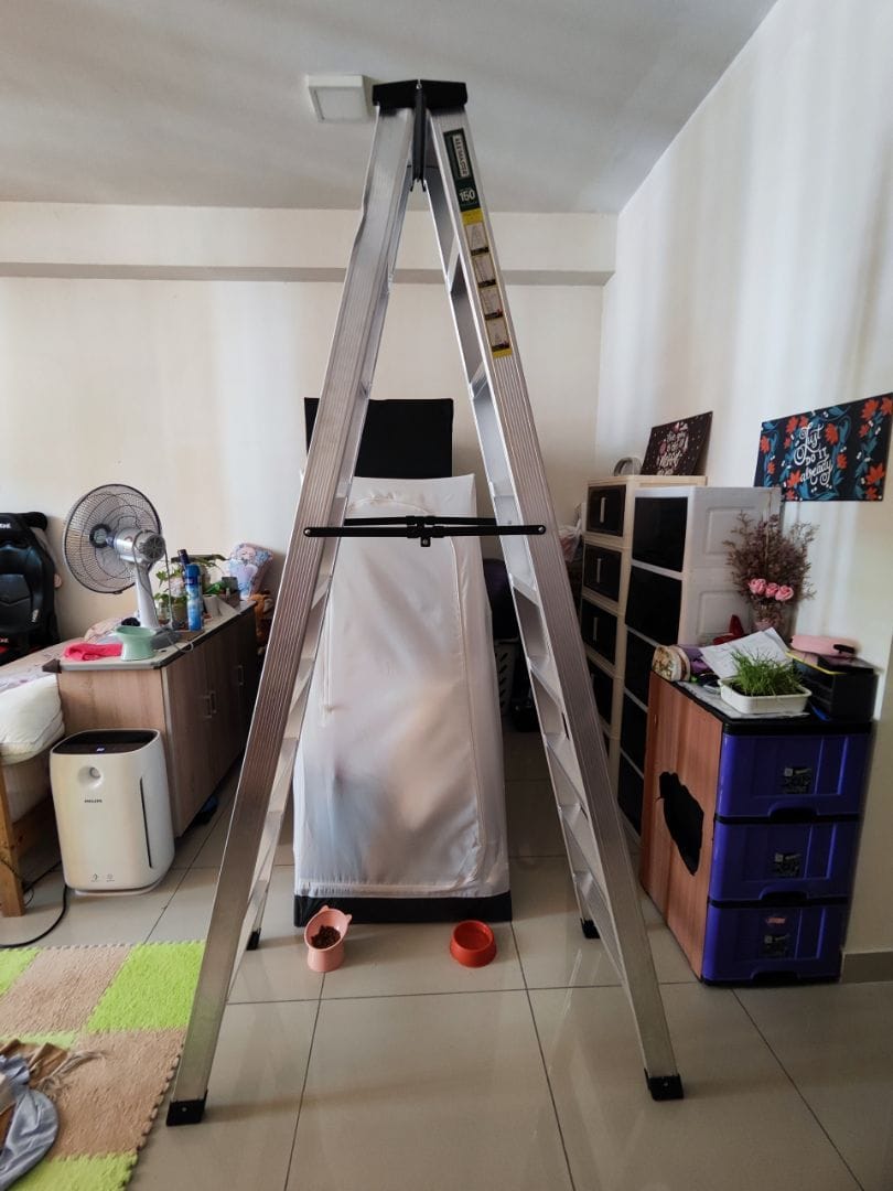Customer photo review of ✨READY STOCK✨Alumaster Heavy Duty Aluminium Welded Ladder (9 Steps Double Side) AL-DWL70-9S ALUCLASS