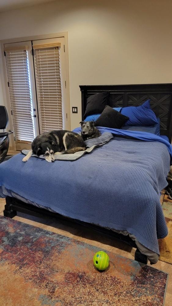 Customer photo review of Crate Mat / Travel Bed