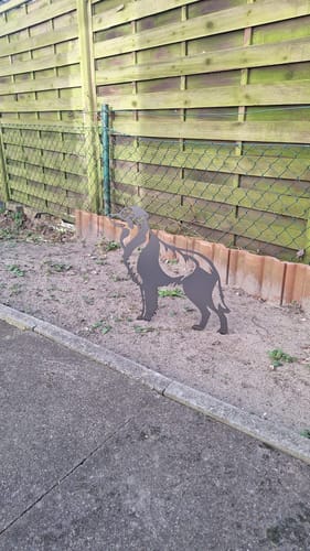 Customer photo review of Gartenstecker Australian Shepherd