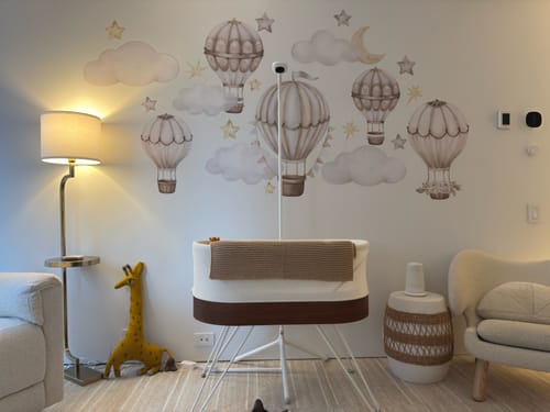 Customer photo review of Pastel Hot Air Balloons