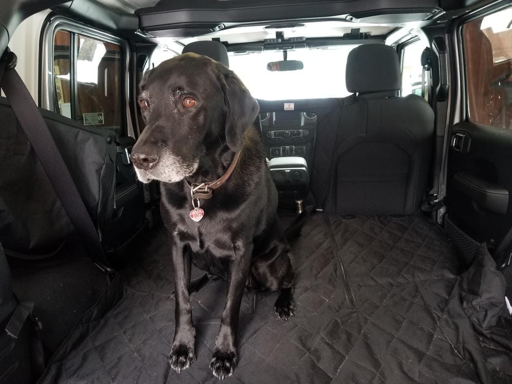 Customer photo review of Dog Deterrent Barrier