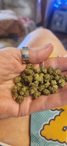 Customer photo review of OG Kush - 14 Grams Littles - Indica