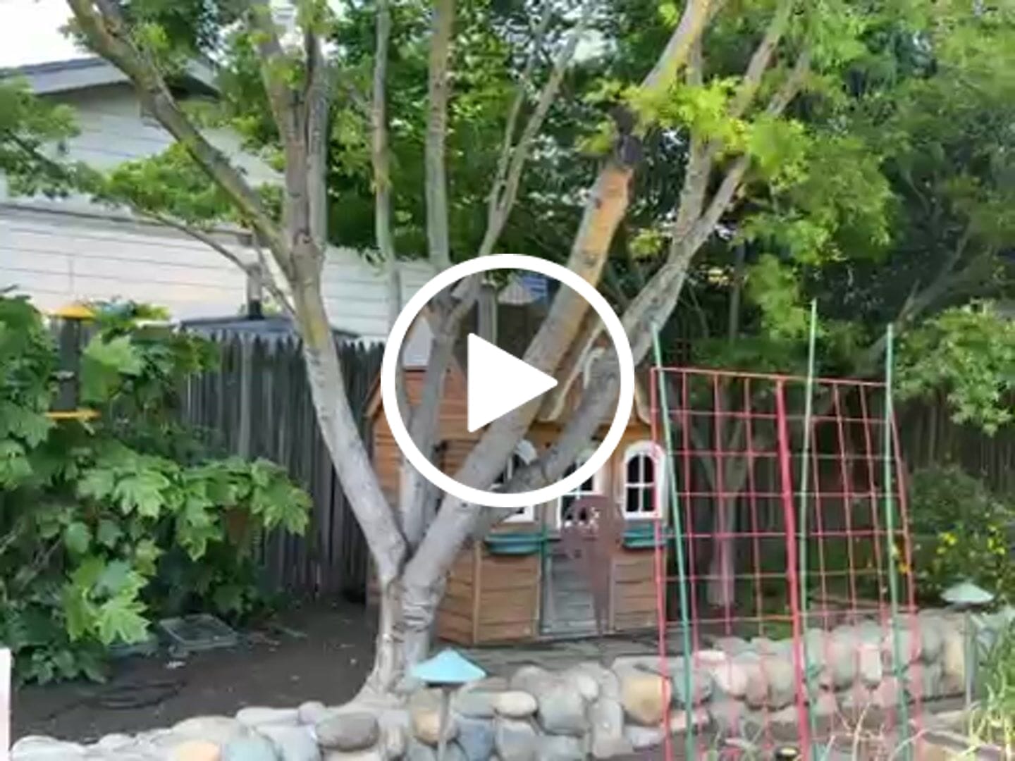 Customer video review of Thistle Birdseed (Nyger)