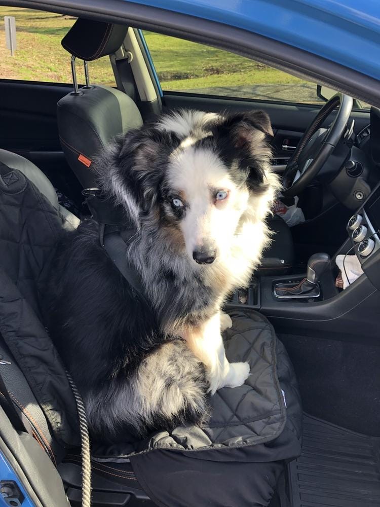 Customer photo review of Front Seat (Bucket Seat) Cover