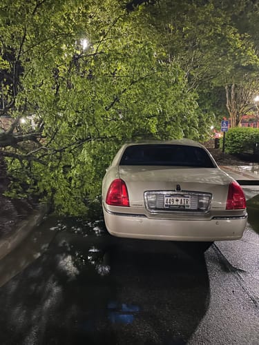 Customer photo review of FVKD BLUE LOTUS EXTRACT 3.5G