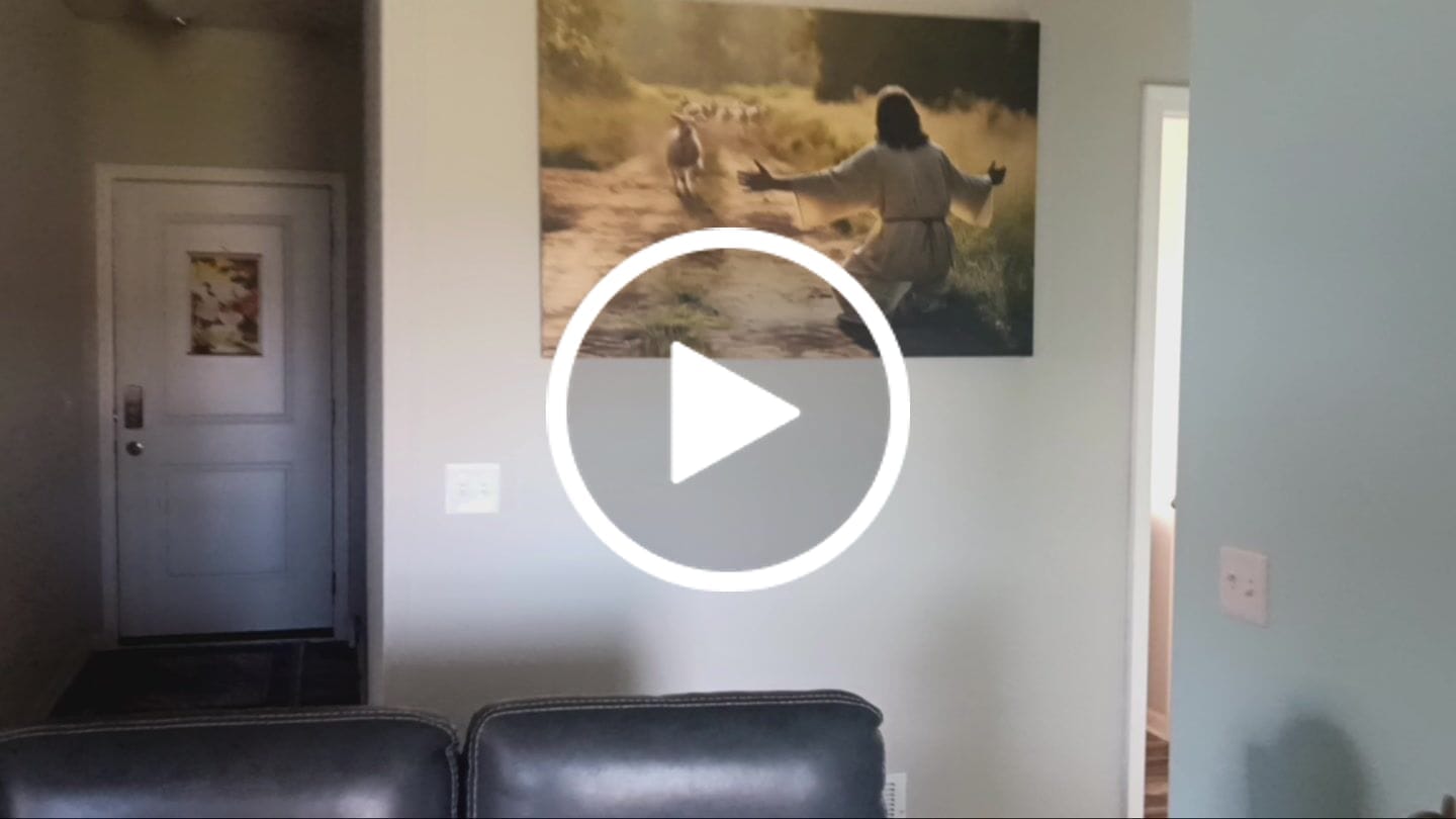 Customer video review of Lamb Runs to Jesus Wall Art Canvas