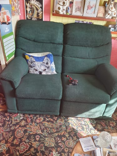 Customer photo review of Fabric Paint -- Dark Green