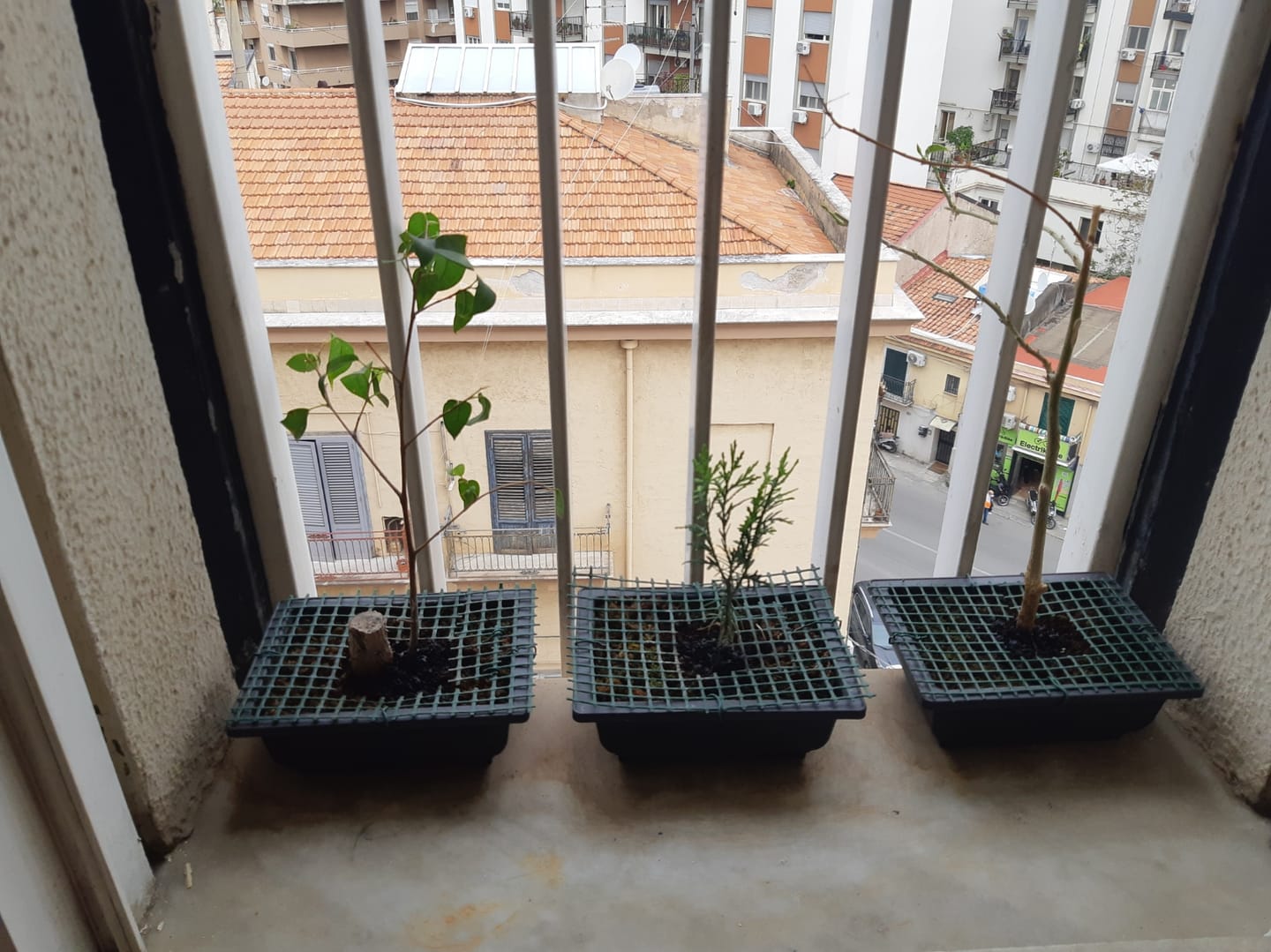 Customer photo review of CURA TOTALE PACK