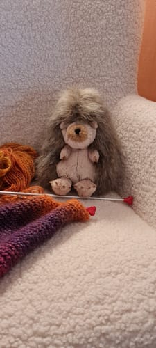 Customer photo review of ‘Mabel’ Hedgehog Plush | Wrendale Designs