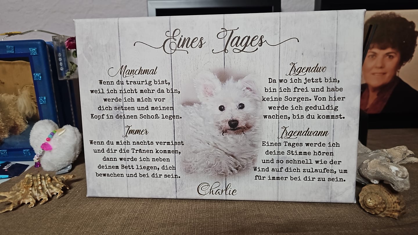 Customer photo review of Eines Tages - Individuelle Leinwand