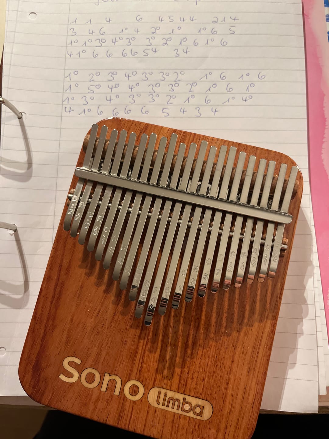 Customer photo review of Sonodrum Kalimba - Sonolimba - Afrikanisches Korallenholz