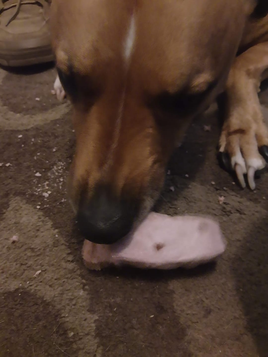 Customer photo review of Flavoured Yak chews (Bluberry Cranberry Strawberry)