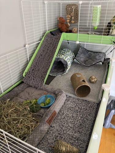 Customer photo review of 4x2 C&C Cage with Loft