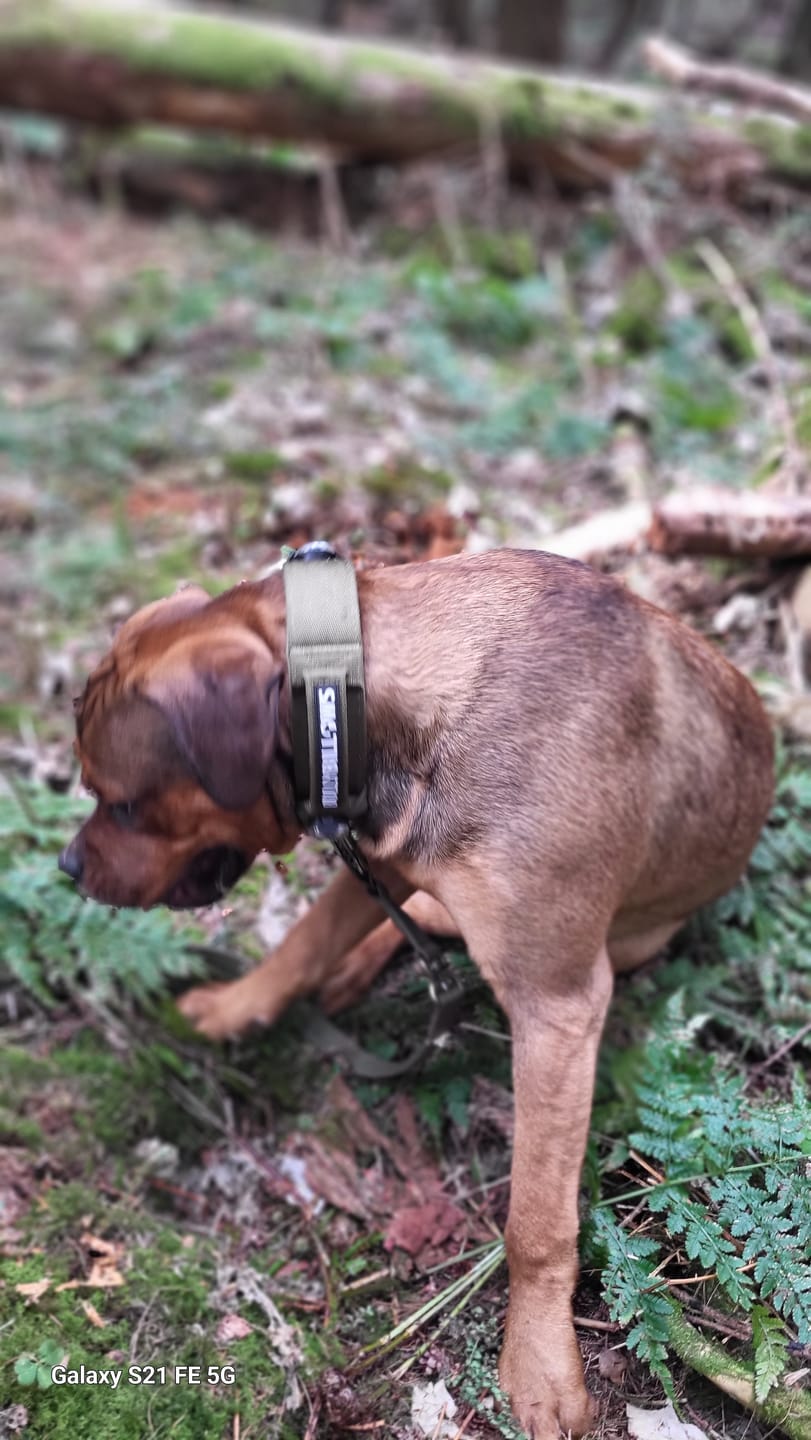 Customer photo review of 1.4m Lighter Swivel Combat Lead | Anti-Tangle & Secure Clip - Khaki x Khaki