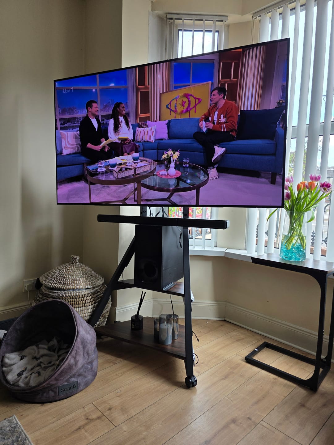 Customer photo review of Eiffel FT65 Floor TV Stand With Wheels