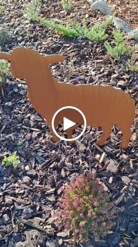 Customer video review of Gartenstecker Schaf