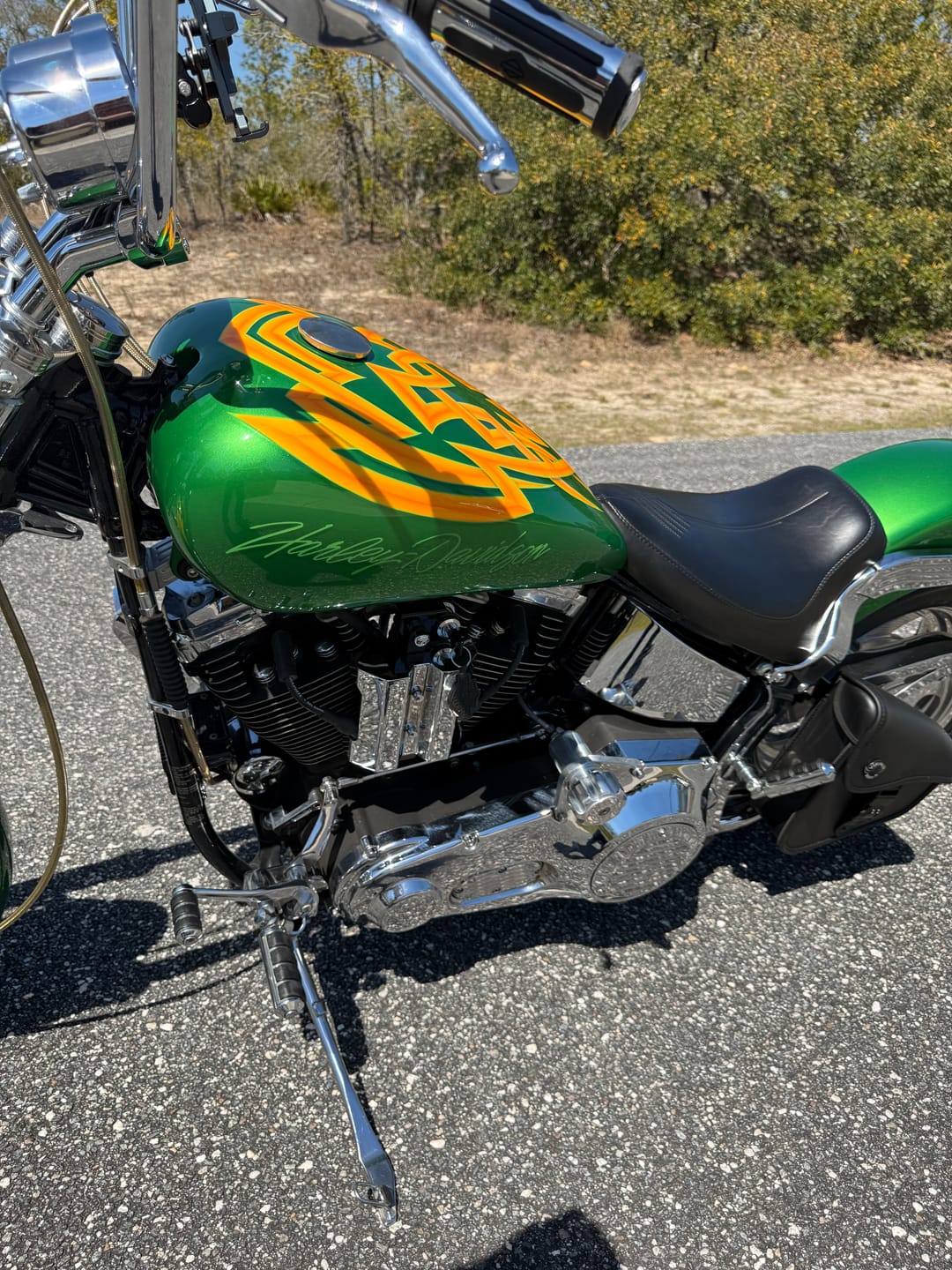 Customer photo review of 3L - Digilock Motorcycle Swingarm Bag for Harley Softail