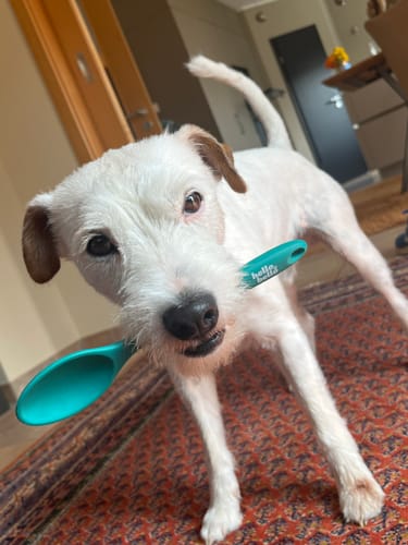 Customer photo review of Bello's Schlemmerlöffel