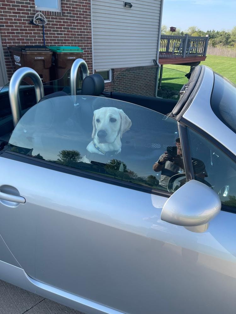 Customer photo review of Front Seat (Bucket Seat) Cover