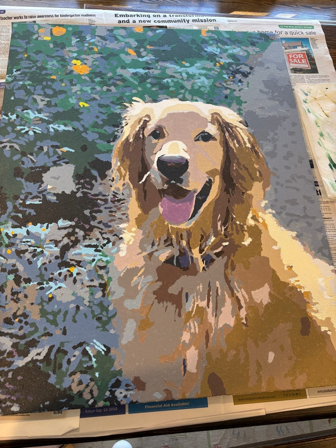 Customer photo review of Unleash Your Inner Artist: Custom Paint - by - Numbers for Adults! A Fun DIY Gift for Festive Creativity